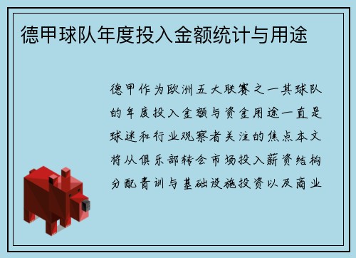 德甲球队年度投入金额统计与用途