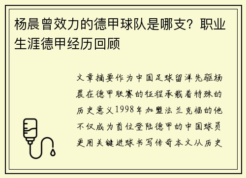 杨晨曾效力的德甲球队是哪支？职业生涯德甲经历回顾